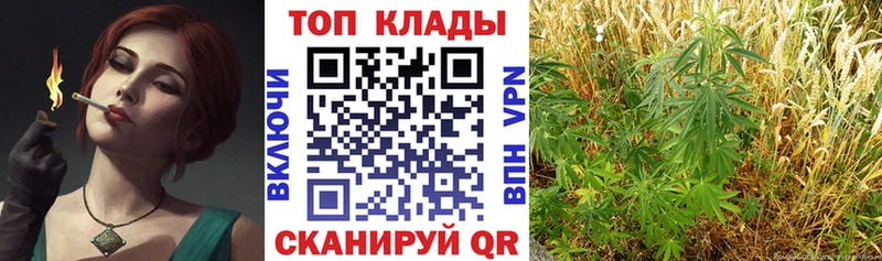 Продажа наркотиков Бородино mega ССЫЛКА  Меф мяу мяу  Alpha-PVP  Бошки Шишки  COCAIN 