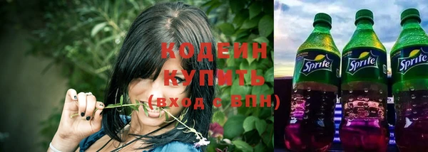 молекула духа Снежногорск